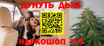 стафф Нальчик