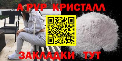 стафф Нальчик